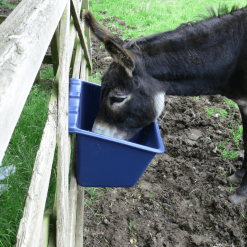 Paxton 28 Litre Hanging Feed Trough (LF6) - Image 3