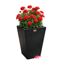Etills Barrington Garden Planter - Image 7