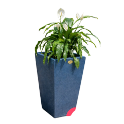 Etills Barrington Garden Planter - Image 6