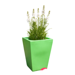 Etills Barrington Garden Planter - Image 5