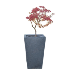 Etills Barrington Garden Planter - Image 4