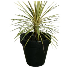Etills Classic Garden Planter - Image 3
