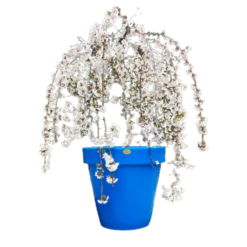 Etills Classic Garden Planter - Image 4