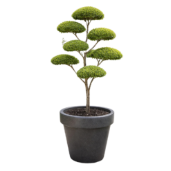 Etills Classic Garden Planter - Image 5