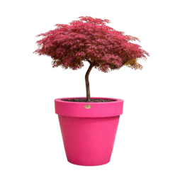 Etills Classic Garden Planter - Image 7