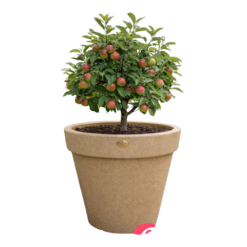 Etills Classic Garden Planter - Image 10
