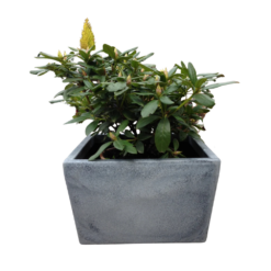 Etills Meldreth Garden Planter - Image 3