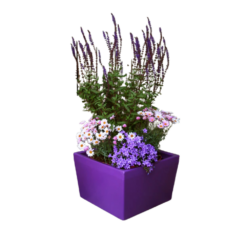 Etills Meldreth Garden Planter - Image 4