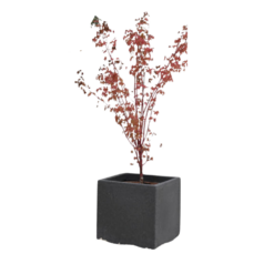 Etills Orwell Garden Planter - Image 3