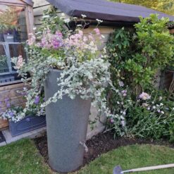 Alternative view of 160 Litre Manhattan Curve Water Butt Planter
