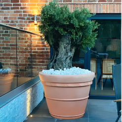 Prestige Extra Large Terracotta Style Pot Planter